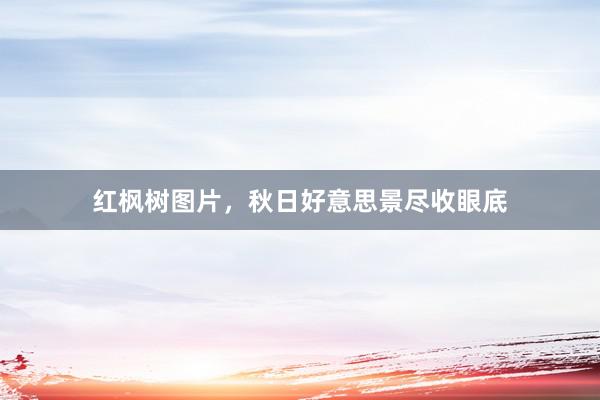 红枫树图片，秋日好意思景尽收眼底