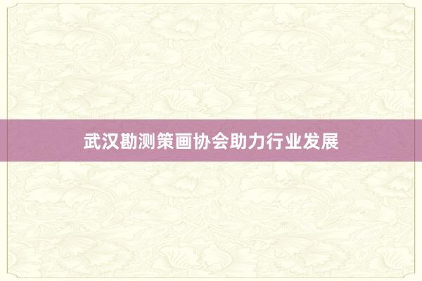 武汉勘测策画协会助力行业发展